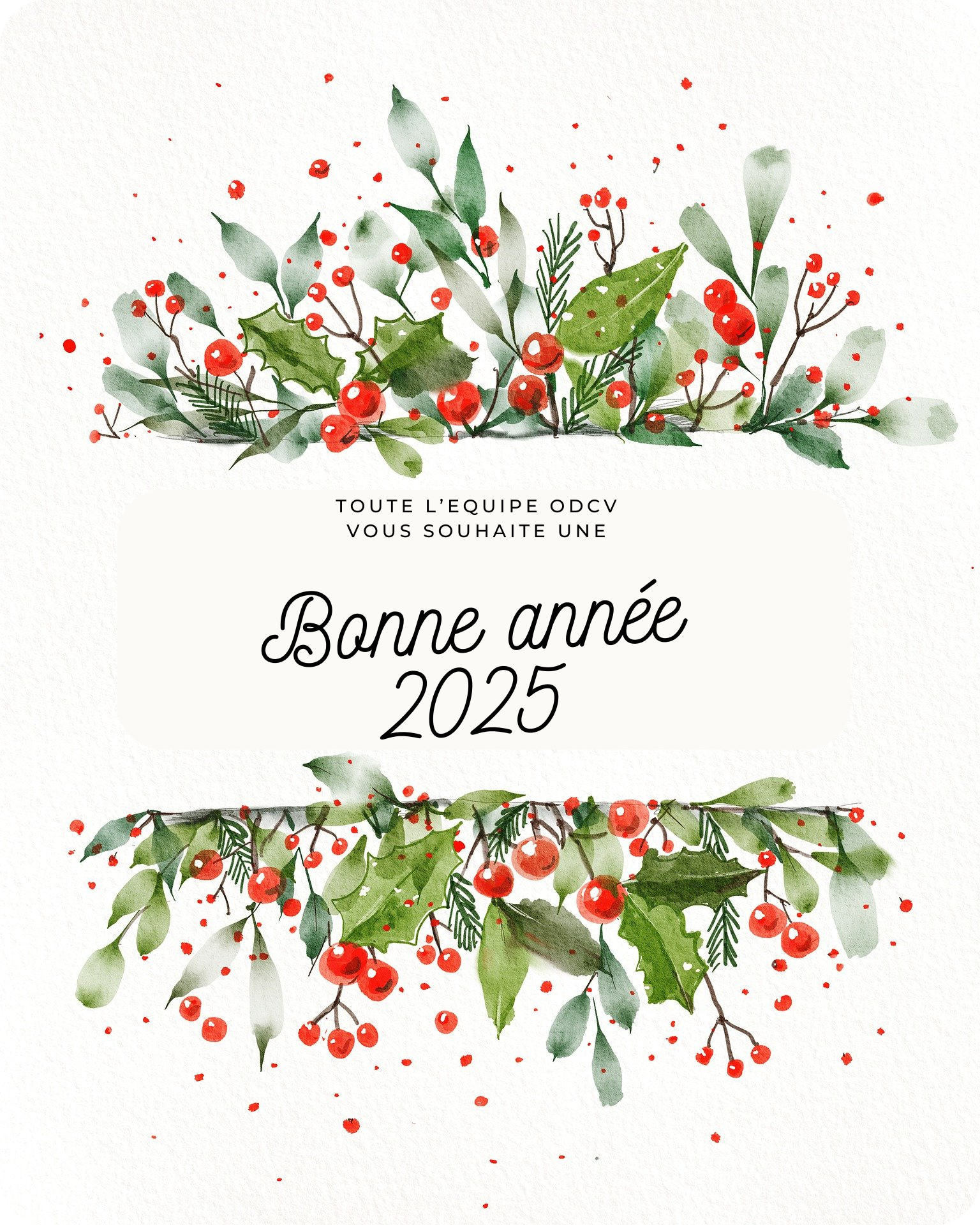 Bonne année 2025 !